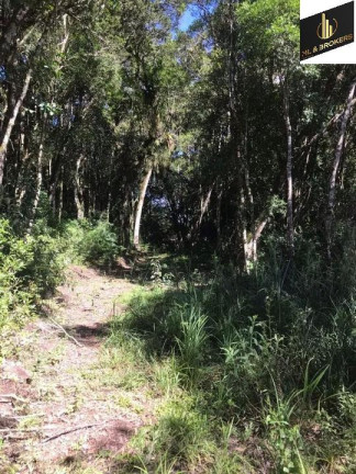 Imagem Imóvel com 3 Quartos à Venda, 30.000 m² em Zona Rural - Tijucas Do Sul