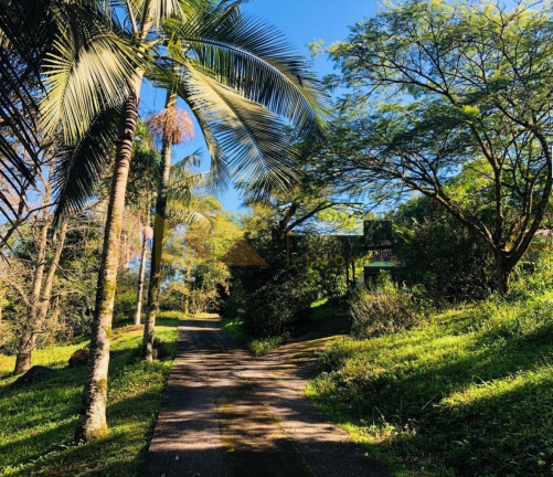 Imagem Chácara com 2 Quartos à Venda, 157 m² em Ribeirão Areia - Pomerode