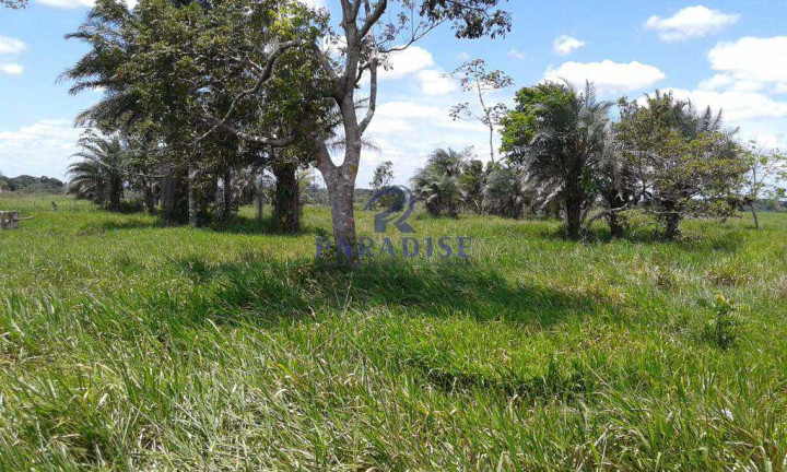 Imagem Fazenda à Venda, 1.742.400 m² em Zona Rural - Cachoeira Imagem Fazenda à Venda, 1.742.400 m² em Zona Rural - Cachoeira