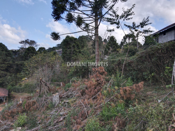 Imagem Terreno à Venda, 1.110 m² em Região De Descansópolis - Campos Do Jordão Imagem Terreno à Venda, 1.110 m² em Região De Descansópolis - Campos Do Jordão