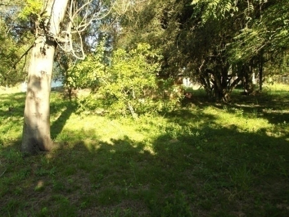 Imagem Casa com 2 Quartos à Venda, 500 m² em águas Claras - Viamão