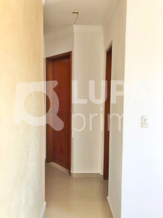 Imagem Apartamento com 3 Quartos à Venda, 42 m² em Tucuruvi - São Paulo Imagem Apartamento com 3 Quartos à Venda, 42 m² em Tucuruvi - São Paulo