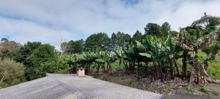 Imagem Chácara com 2 Quartos à Venda, 1 m² em Bateias - Campo Largo