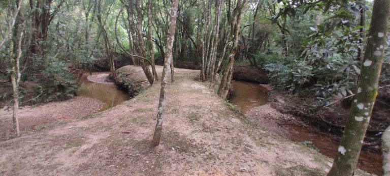 Imagem Chácara com 3 Quartos à Venda, 3.000 m² em Bugre - Balsa Nova