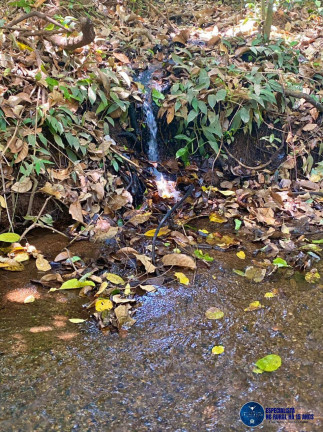 Imagem Chácara à Venda, 27 m² em Zona Rural - Bela Vista De Goiás Imagem Chácara à Venda, 27 m² em Zona Rural - Bela Vista De Goiás