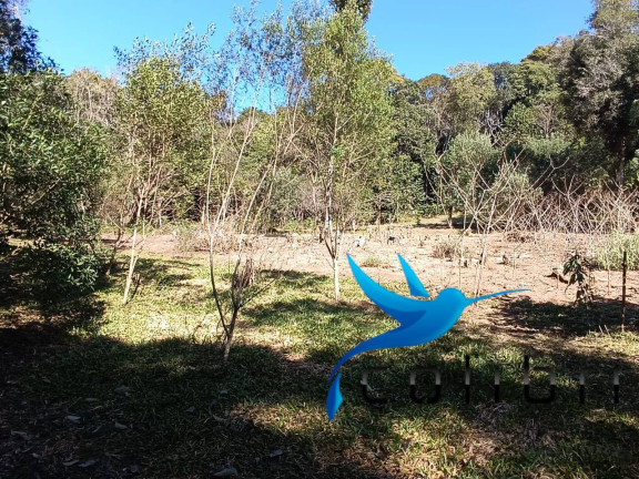 Imagem Chácara com 2 Quartos à Venda, 6.000 m² em Palmital - Agudos Do Sul Imagem Chácara com 2 Quartos à Venda, 6.000 m² em Palmital - Agudos Do Sul