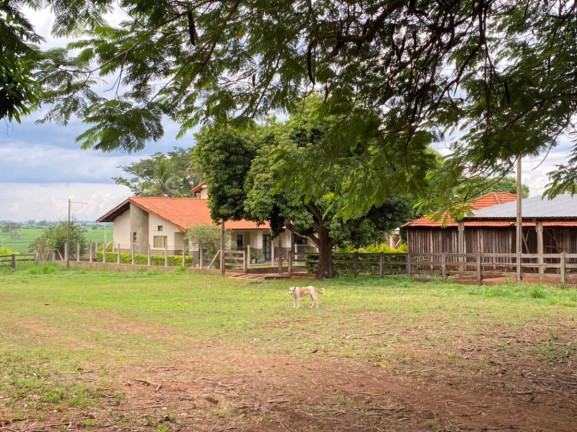 Imagem Fazenda à Venda, 532 m² em Rural - Jales