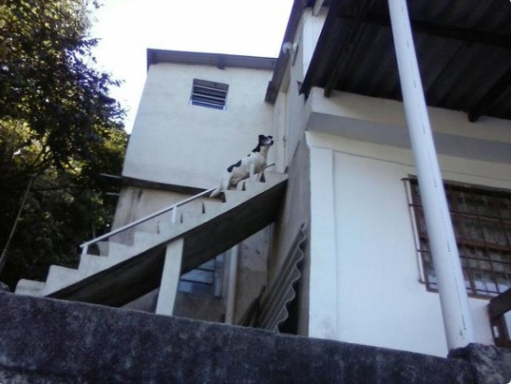 Imóvel