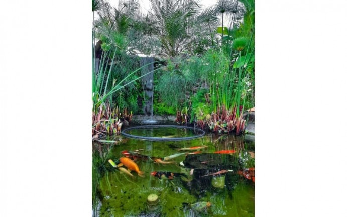 Imagem Imóvel à Venda, em Guaxinduva - Atibaia Imagem Imóvel à Venda, em Guaxinduva - Atibaia
