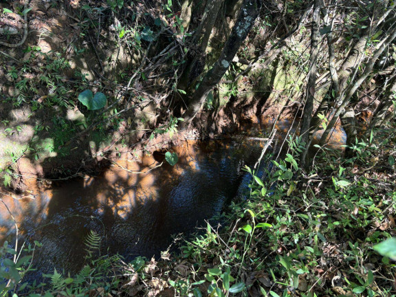 Imagem Terreno à Venda, 5.000 m² em Rio São João - Itatiaiuçu Imagem Terreno à Venda, 5.000 m² em Rio São João - Itatiaiuçu