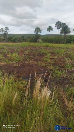 Imagem Fazenda à Venda, 814 m² em Zona Rural - Nova Xavantina Imagem Fazenda à Venda, 814 m² em Zona Rural - Nova Xavantina