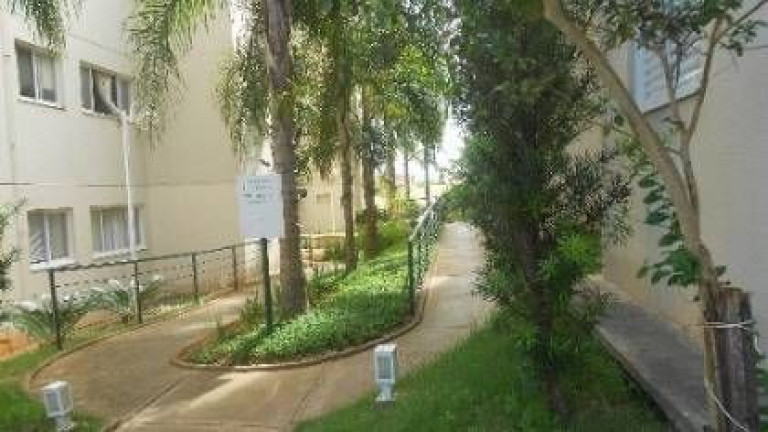 Imagem Apartamento com 2 Quartos à Venda, 45 m² em Universitário - São José Do Rio Preto Imagem Apartamento com 2 Quartos à Venda, 45 m² em Universitário - São José Do Rio Preto