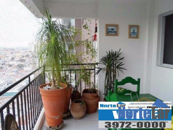 Imagem Apartamento com 3 Quartos à Venda, 80 m² em Vila Maria - São Paulo Imagem Apartamento com 3 Quartos à Venda, 80 m² em Vila Maria - São Paulo