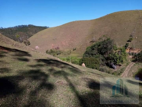 Imagem Chácara com 2 Quartos à Venda, 14.000 m² em Centro - Igaratá