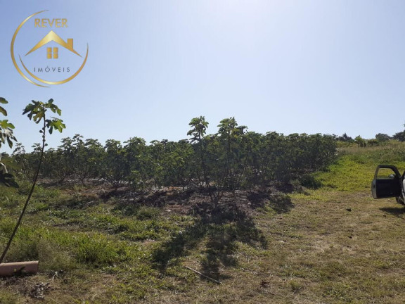 Imagem Imóvel com 9 Quartos à Venda, 69.700 m² em Reforma Agrária - Valinhos Imagem Imóvel com 9 Quartos à Venda, 69.700 m² em Reforma Agrária - Valinhos
