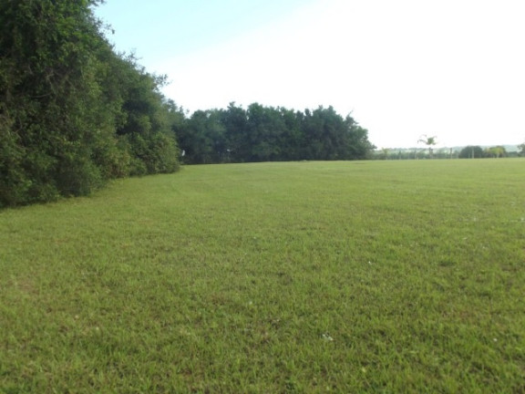 Imagem Chácara à Venda, 4.000 m² em águas Claras - Viamão
