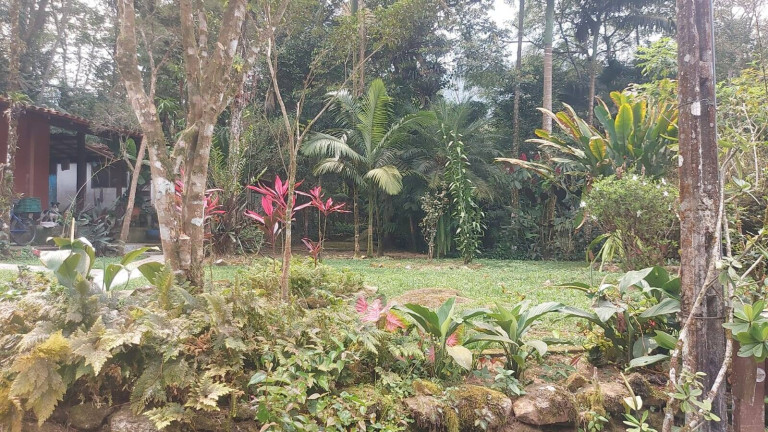Imagem Chácara com 5 Quartos à Venda, 5.000 m² em Horto Florestal - Ubatuba Imagem Chácara com 5 Quartos à Venda, 5.000 m² em Horto Florestal - Ubatuba
