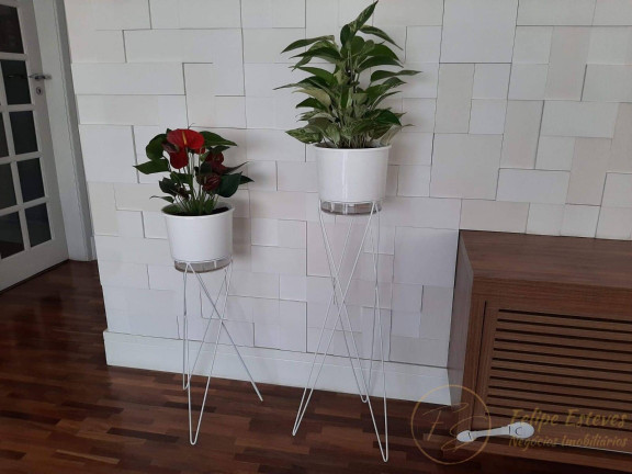 Imagem Apartamento com 3 Quartos à Venda, 142 m² em Sumaré - São Paulo Imagem Apartamento com 3 Quartos à Venda, 142 m² em Sumaré - São Paulo
