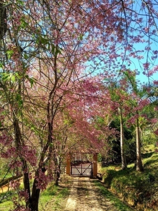 Imagem Fazenda à Venda, 600 m² em Lagoa - Paraibuna