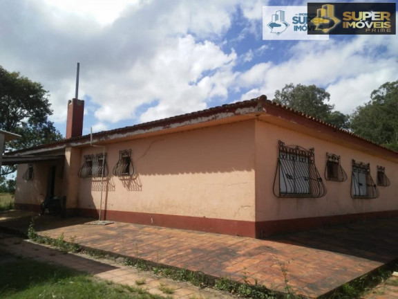 Imagem Imóvel com 4 Quartos à Venda, 1.100.000 m² em Quinta - Rio Grande