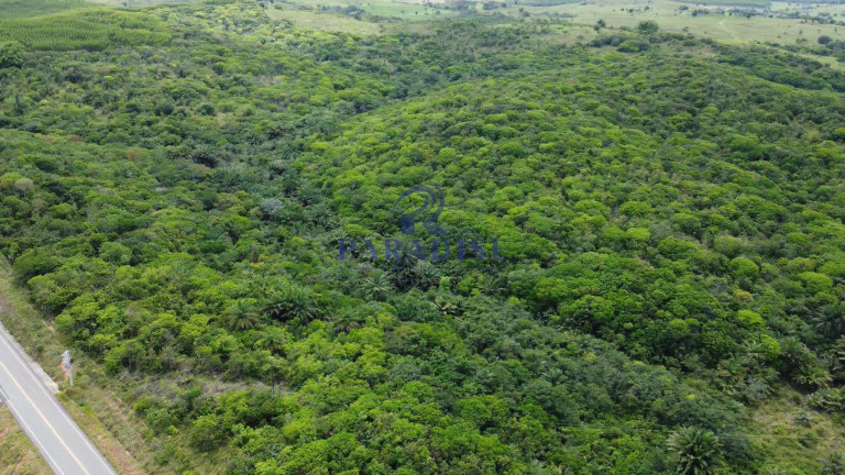 Imagem Fazenda à Venda, 2.114.000 m² em Zona Rural - Itanagra Imagem Fazenda à Venda, 2.114.000 m² em Zona Rural - Itanagra