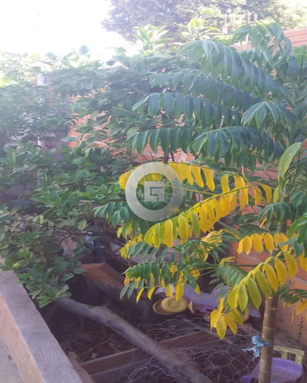 Imagem Casa com 3 Quartos à Venda, 160 m² em São Lucas - Montes Claros Imagem Casa com 3 Quartos à Venda, 160 m² em São Lucas - Montes Claros
