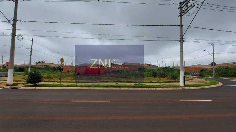 Imagem Terreno à Venda, 260 m² em Jardim Cristo Redentor - Ribeirão Preto
