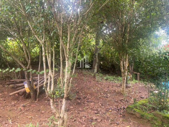 Imagem Chácara com 3 Quartos à Venda, 180 m² em Santa Teresa - Santa Branca Imagem Chácara com 3 Quartos à Venda, 180 m² em Santa Teresa - Santa Branca