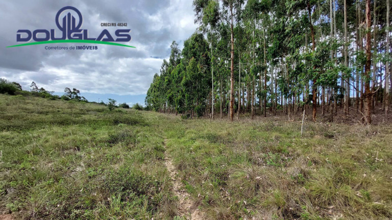 Imagem Chácara à Venda, 20.000 m² em águas Claras - Viamão
