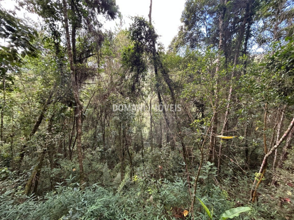 Imagem Terreno à Venda, 5.820 m² em Região Do Parque Da água Santa - Campos Do Jordão Imagem Terreno à Venda, 5.820 m² em Região Do Parque Da água Santa - Campos Do Jordão