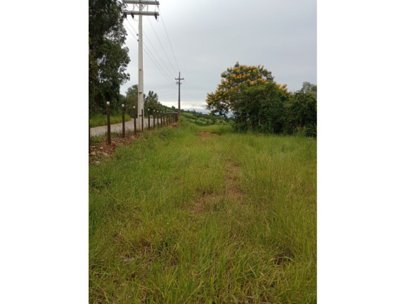 Imagem Terreno à Venda, 12.000 m² em Ponte Alta - Bueno Brandão Imagem Terreno à Venda, 12.000 m² em Ponte Alta - Bueno Brandão