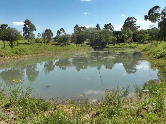 Imagem Chácara com 1 Quarto à Venda, 11 m² em águas Claras - Viamão