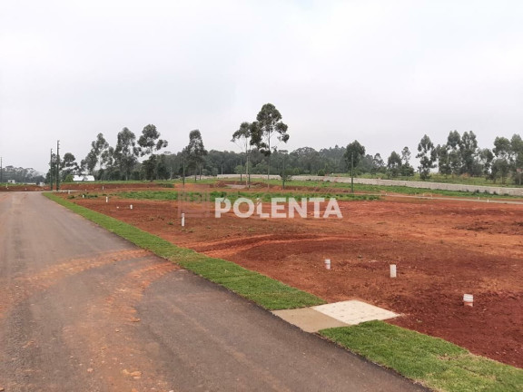 Imagem Terreno à Venda, 560 m² em Primeira Linha - Criciúma