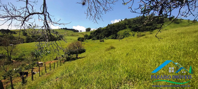 Imagem Chácara à Venda, 24 m² em Centro - Paraisópolis
