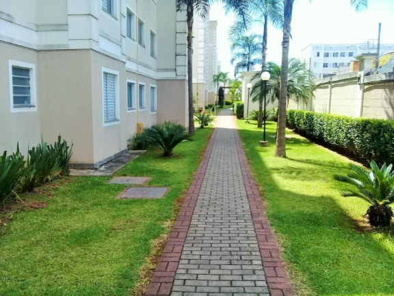 Imagem Apartamento com 2 Quartos para Alugar, 45 m² em Vila Urupês - Suzano Imagem Apartamento com 2 Quartos para Alugar, 45 m² em Vila Urupês - Suzano
