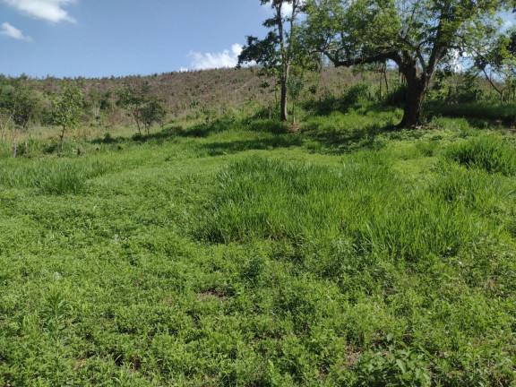 Imagem Fazenda à Venda, 100 m² em Centro - Guaratinguetá Imagem Fazenda à Venda, 100 m² em Centro - Guaratinguetá