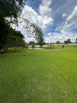 Imagem Chácara com 2 Quartos à Venda, 7.700 m² em Centro - Trindade Imagem Chácara com 2 Quartos à Venda, 7.700 m² em Centro - Trindade