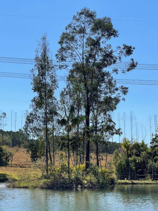Imagem Fazenda à Venda, 1 m² em Zona Rural - Ipameri Imagem Fazenda à Venda, 1 m² em Zona Rural - Ipameri