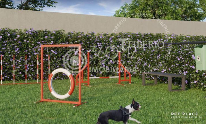 Imagem Apartamento com 2 Quartos à Venda, 62 m² em Campestre - Santo André Imagem Apartamento com 2 Quartos à Venda, 62 m² em Campestre - Santo André