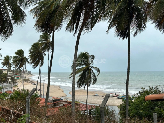 Imagem Terreno à Venda, 3.550 m² em Praia De Caraúbas - Maxaranguape Imagem Terreno à Venda, 3.550 m² em Praia De Caraúbas - Maxaranguape