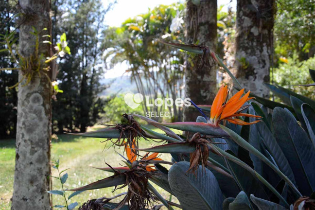 Imagem Terreno à Venda, 500 m² em Jardim Portugal - Valinhos Imagem Terreno à Venda, 500 m² em Jardim Portugal - Valinhos