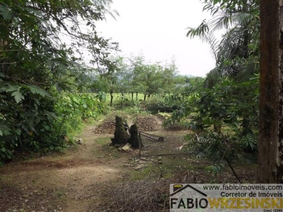 Imagem Fazenda à Venda, 1.510.000 m² em Centro - Garuva
