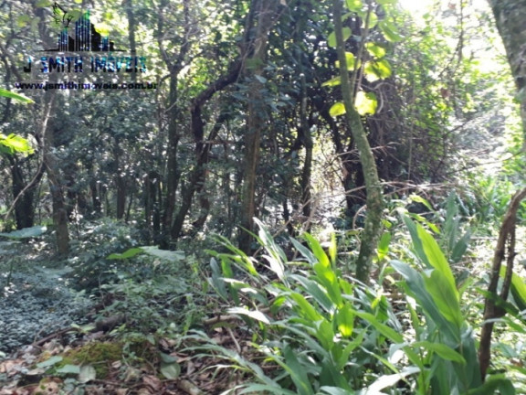 Imagem Terreno em Condomínio à Venda, 525 m² em Gramado - Cotia Imagem Terreno em Condomínio à Venda, 525 m² em Gramado - Cotia