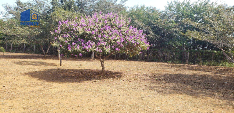 Imagem Chácara com 2 Quartos à Venda, 300 m² em Zona Rural - Chapada Dos Guimarães Imagem Chácara com 2 Quartos à Venda, 300 m² em Zona Rural - Chapada Dos Guimarães