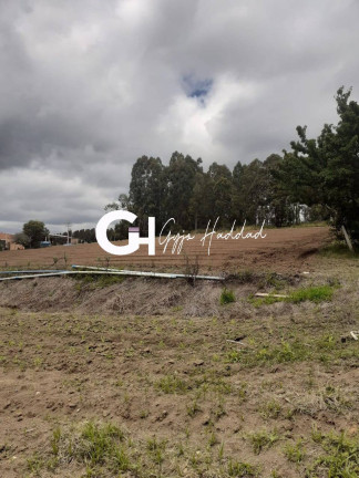 Imagem Chácara com 3 Quartos à Venda, 5 m² em Piedade