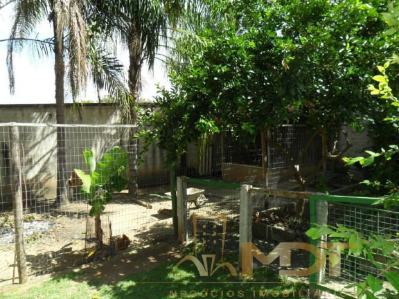 Imagem Casa com 5 Quartos à Venda, 400 m² em Trevo - Belo Horizonte Imagem Casa com 5 Quartos à Venda, 400 m² em Trevo - Belo Horizonte