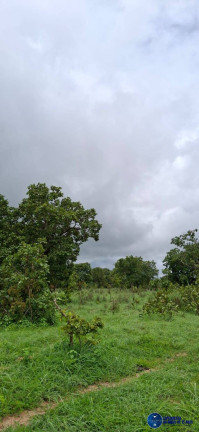 Imagem Fazenda à Venda, 37 m² em Zona Rural - Jussara Imagem Fazenda à Venda, 37 m² em Zona Rural - Jussara