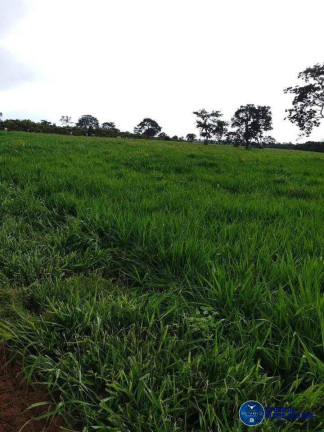 Imagem Fazenda à Venda, 123 m² em Zona Rural - Torixoréu Imagem Fazenda à Venda, 123 m² em Zona Rural - Torixoréu