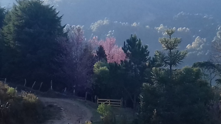 Imagem Chácara à Venda, 200.000 m² em Centro - Itamonte