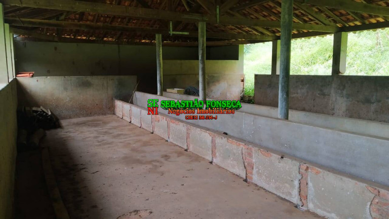 Imagem Fazenda à Venda, 65 m² em Centro - Cunha Imagem Fazenda à Venda, 65 m² em Centro - Cunha